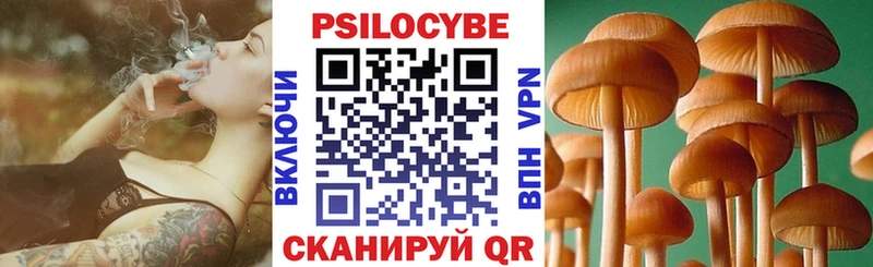 OMG зеркало  Лесной  Псилоцибиновые грибы ЛСД 